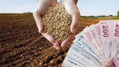 Çiftçiye Aralık Ayı Müjdesi Geldi Tarımsal Destek Ödemeleri Hesaba Yatıyor T.C. Kimlik Numarasına Göre Ödeme Takvimi